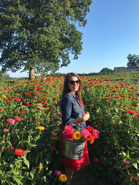 Pick your own flowers near me - The flower field is open (in season July-September) to the public Friday and Saturday 9:00 AM to 7:00 PM and Sunday 1:00 PM to 7:00 PM. Private “pick parties” can also be …